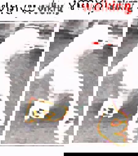 SigmaLigmaPigma's Avatar